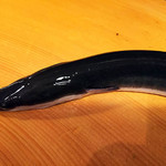 うなぎ屋酒坊・画荘 越後屋 - 