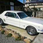 鐵馬厩 - 車に疎いわたくし。コメント欄で教わりましたが、フォードのマスタングだそう。