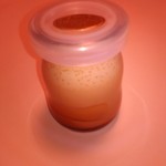 牧野菓子店 - 自家製プリン　　　（２３０円）