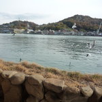 魚信旅館 - 窓を開けると目の前は、すぐ海なんです！