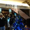 THE RIGOLETTO OCEAN CLUB