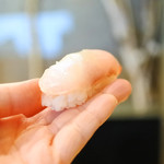 初音鮨 - シラカワ