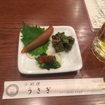 うさぎ - 先付けと生ビール