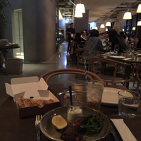 THE APOLLO - 
