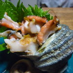 サザエ刺身アップ