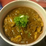 八好 - カレー伊勢うどん(大)