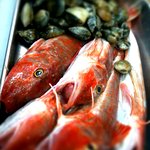 BUONGIORINA - 築地から届く新鮮お魚もお・す・す・め。この日は、長崎産のホウボウの入荷です。