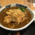 うどん上々 - 鶏天カレーうどん