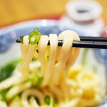 Oosaka Hannari Udon - 小うどんのぶっかけ冷