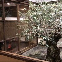 SHOKUDO YArn - 