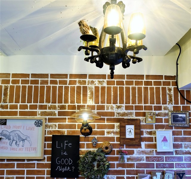 Pony Pony Hungry photo 4