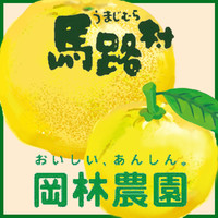 馬路村　ゆず酎ハイ