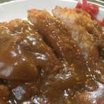 北海道がんセンター 地下食堂 - カツカレー