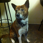 集い炉端 味人 - ジョニー！また一緒に飲もうね♪