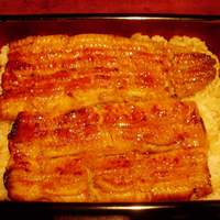 五代目 野田岩 麻布飯倉本店 - うな重