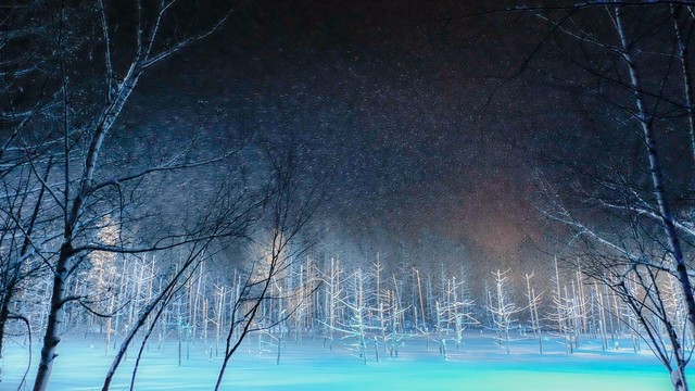 洋食とcafeじゅんぺい - 美瑛（コロッケ）の写真