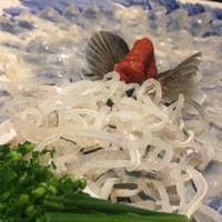 旨い魚と旬菜料理 ふくとく - 