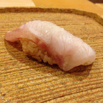 鮨 鈴木 - 下関角島産九絵