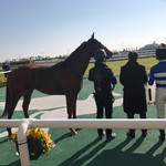 中京競馬場 - 