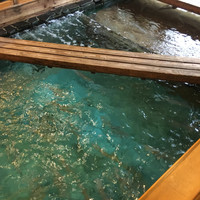 河太郎 中洲本店 - 