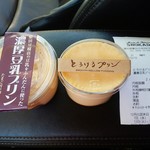 SHOKADO - 濃厚豆乳プリン250円とろけるプリン220円税別