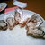 ナゴヤ オイスターバー - 料理写真:生牡蠣