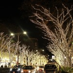 OMOTESANDO CAFE - 