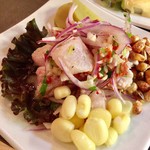 ジャイタイ ナスカ