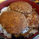 ヨーロッパ軒 - パリカツ丼のアップ