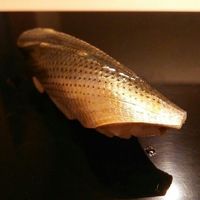 鮨 おとわ - 