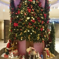 ベルテンポ - 