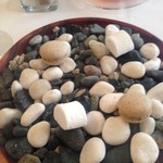 シック プッテートル - 