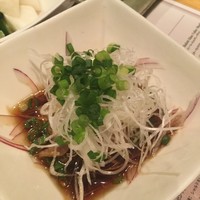 鳥ばか一代 - 