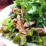 ソンポーン - ナムトック ムー