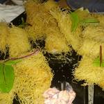 厳選日本酒と季節の和食居酒屋 彩貴 - 