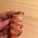 鮨 つきうだ - 車海老