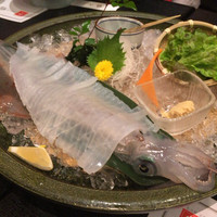 いけす鶴八 新栄店 - 透き通ったイカのお造り