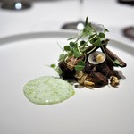 ラチュレ - ヒヨドリのサラダ仕立て　バターミルクとクレソンオイルのソース
      