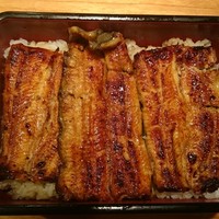 新宿 うなぎ菊川 - 