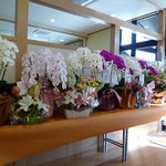 Fujiya - 店舗改装後の祝い花