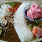 おうちごはんホッと - 黒部ダムカレー(税込み1200円)