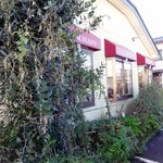 ケースタイル - 