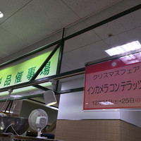 インカメラ コン テラッツァ - 