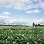 バローレ - 美しい景色