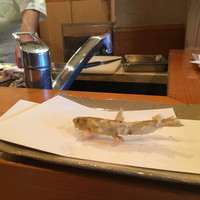 天ぷら 天青 - 