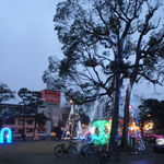 伊乃屋 - 公会堂前イルミネーション