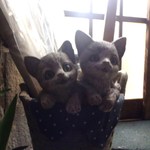 伊乃屋 - んっ・・・