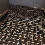 DOMORI -  Criolloをグラインディング