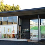 ブルーベリー - 外観