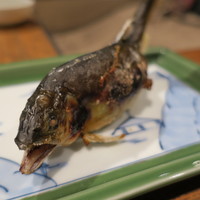 柳家 - 落ち鮎4